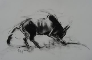 Bull by N S Manohar